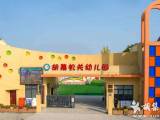 最美芳华 潜心幼教--胡集镇机关幼儿园党支部书记  园长王丽
