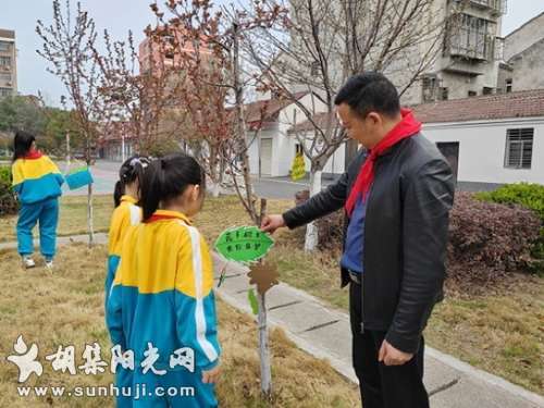 胡集镇小学开展“认领一棵树”护绿行动