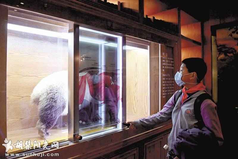 全球首家大熊猫博物馆开馆