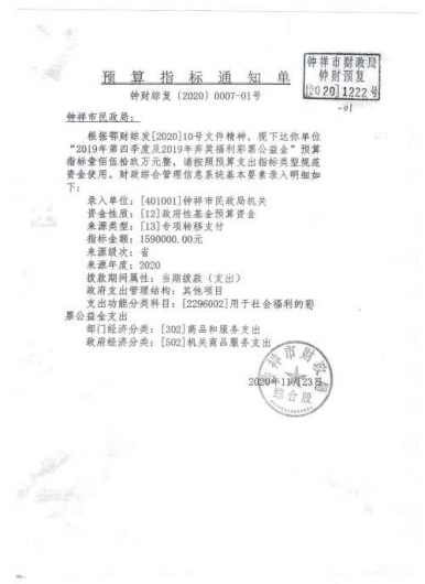 2020年本级留存福利彩票公益金使用情况