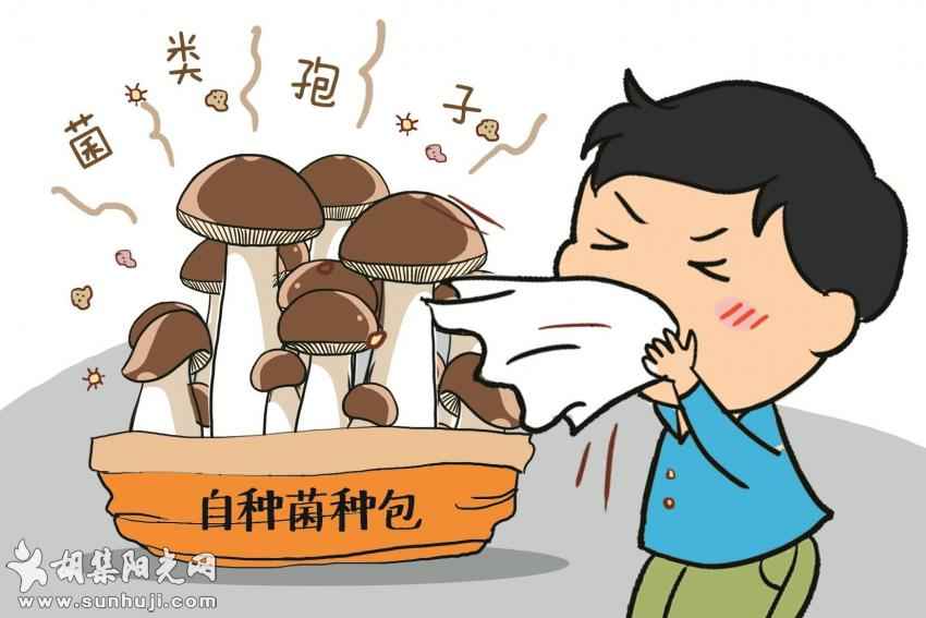 在家种植食用菌 小心种出“蘑菇肺” 专家表示：少量种植问题不大，过敏人群需当心 ... ...
