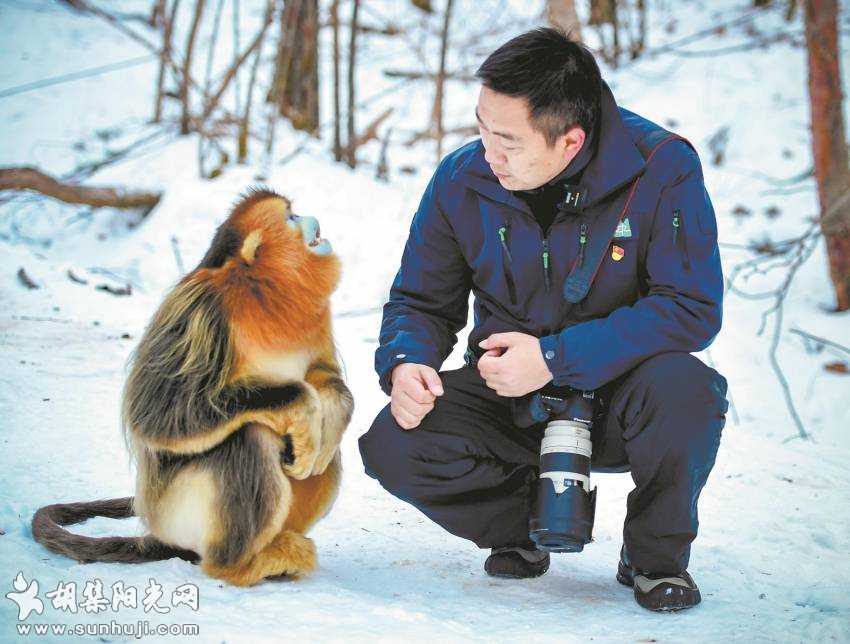 神农架“护猴人”黄天鹏 与金丝猴交朋友 密林中守护16年