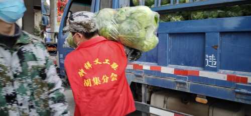 携手微爱，义工风采